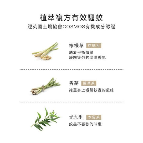 小獅王 長效精油防蚊貼 
