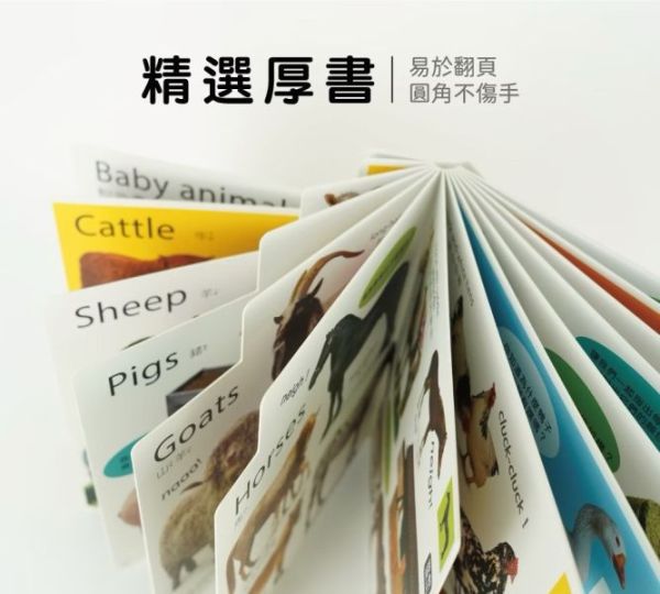 小牛津 親子共讀幼幼認知書 DK-my first系列-共4冊 