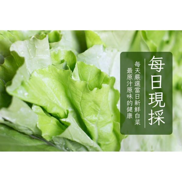 旅居漁村 鮮蔬豬肉烏龍麵150克 