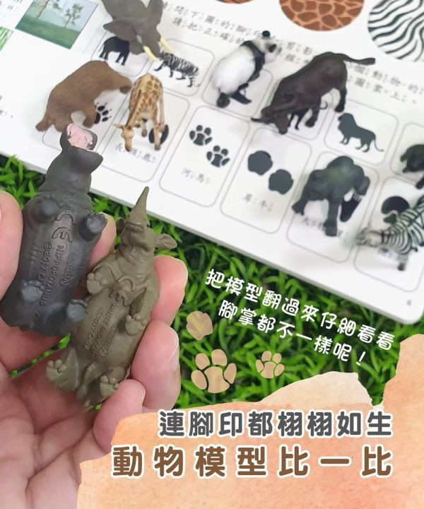 小牛津 自然探索遊戲組合-動物冒險篇 