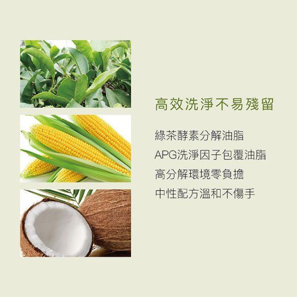 小獅王 綠活奶瓶蔬果洗潔液 