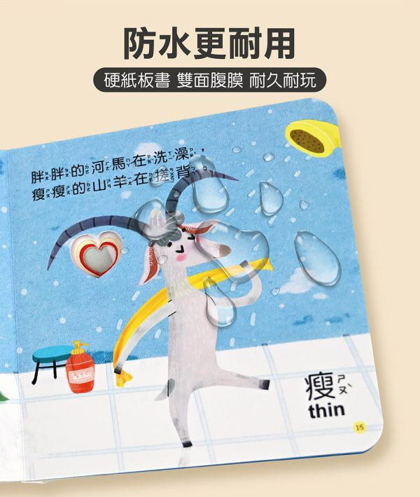 風車圖書 奇妙洞洞書(全套6冊組) 