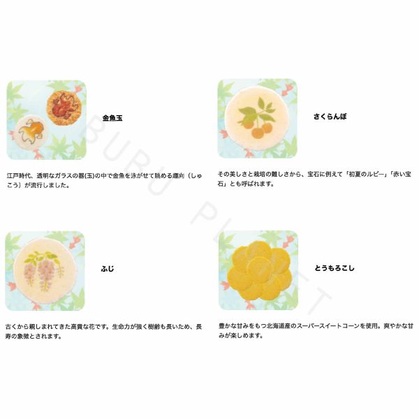 桂新堂 夏季蝦仙貝 綜合仙貝禮盒 季節限定 期間限定 日本伴手禮 