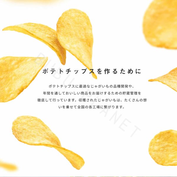 GRAND CALBEE 卡樂比 鹽味 燒烤鹽味 燒海苔風味 烤雞風味 壽喜燒牛肉風味 紀州梅子風味 洋芋片 大阪限定 日本伴手禮 
