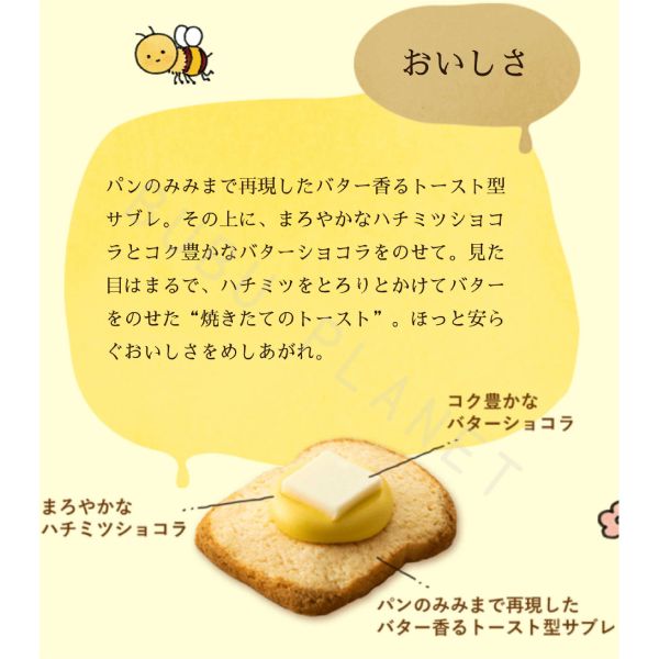 喫茶店に恋して 戀上喫茶店 焦糖布蕾塔 綜合禮盒 日本伴手禮 