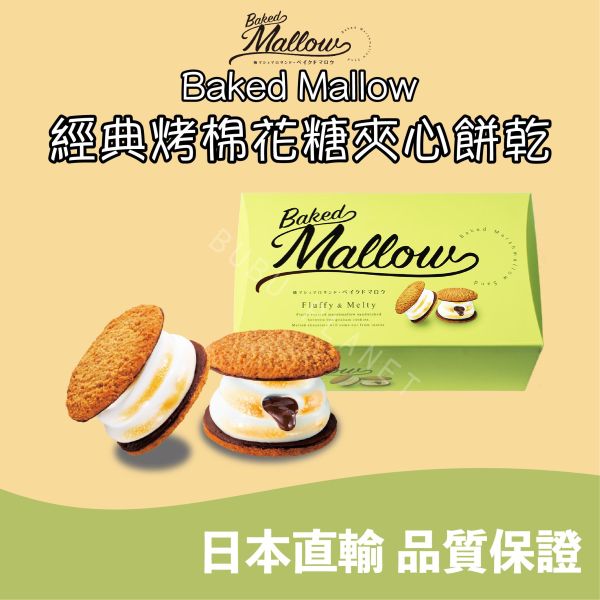 Baked Mallow 烤棉花糖夾心 經典烤棉花糖夾心餅乾 日本伴手禮 
