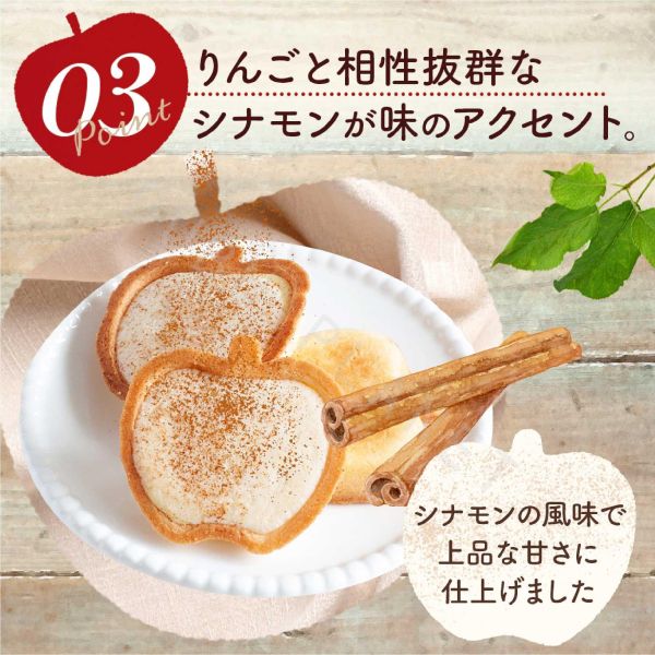 福岡限定 Apple&Butter 蘋果巧克力塔 蘋果風味巧克力塔 日本伴手禮 
