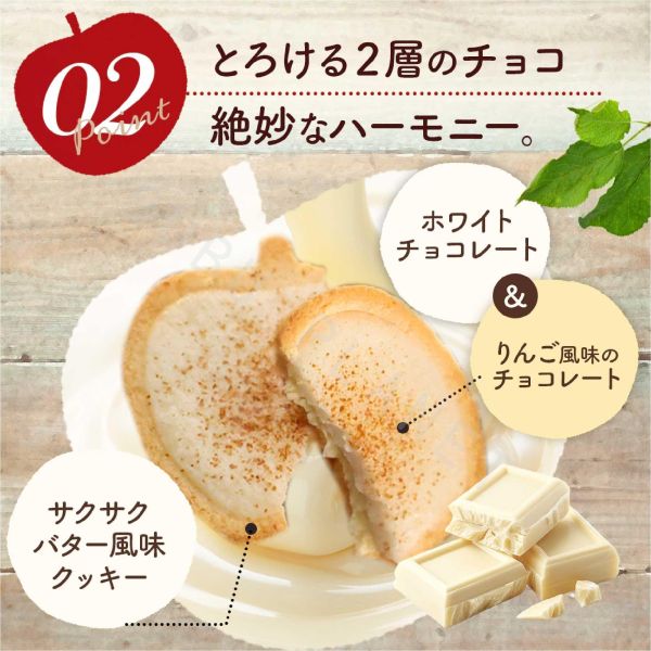 福岡限定 Apple&Butter 蘋果巧克力塔 蘋果風味巧克力塔 日本伴手禮 