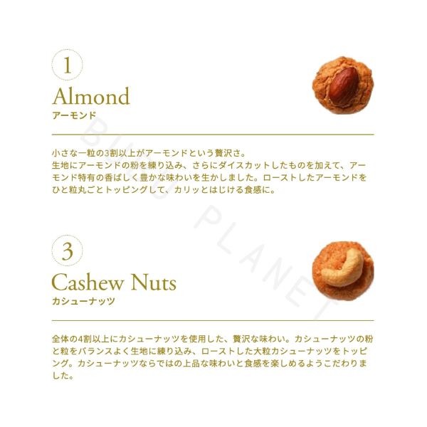 MOROZOFF 綜合堅果餅乾 堅果 腰果 杏仁 巧克力脆片 日本伴手禮 