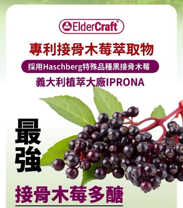 【侏羅紀聯名】兒童金賞葡聚醣-接骨木莓風味 