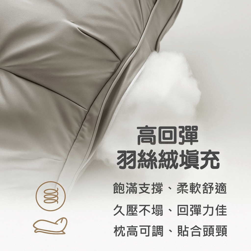 1881五星級石墨烯立體絲絨枕