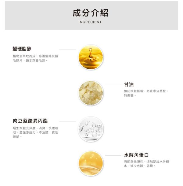 絲柔光萃髮膜 Eclat Hair Care Lotion Lite 
