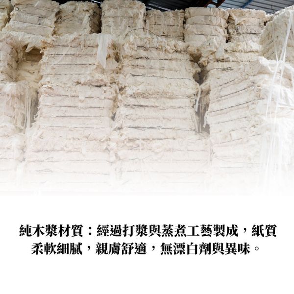 一次性馬桶坐墊紙