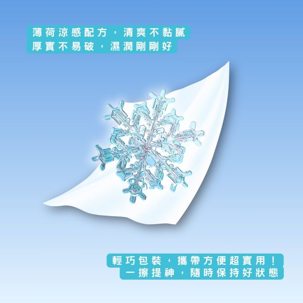 -3度涼感濕紙巾10入五包組 