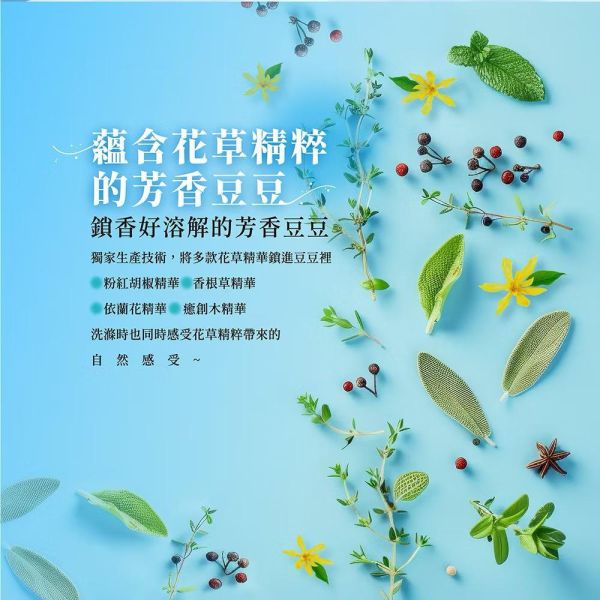 【限時優惠】三桶小蒼蘭洗衣球240顆送加倍潔洗衣槽去污劑 