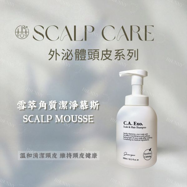 雪萃角質潔淨慕斯300ml 