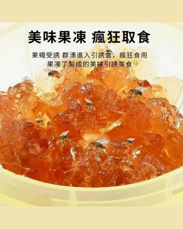 果蠅誘捕器