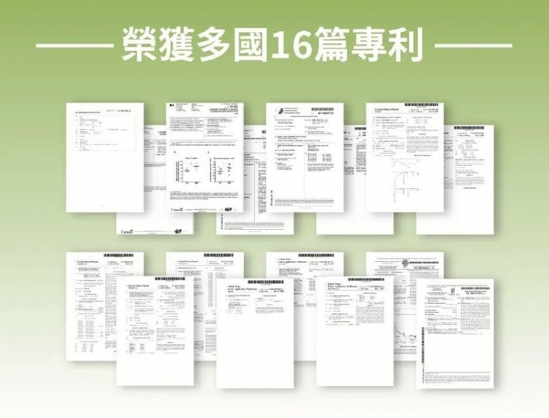 【侏羅紀聯名】兒童金賞葡聚醣-接骨木莓風味 