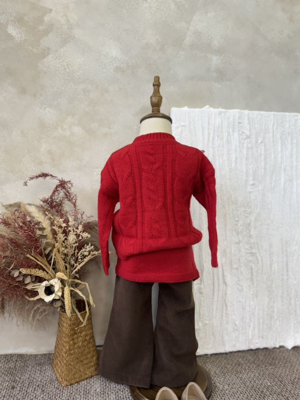 顯白紅微縷空針織披肩上衣 