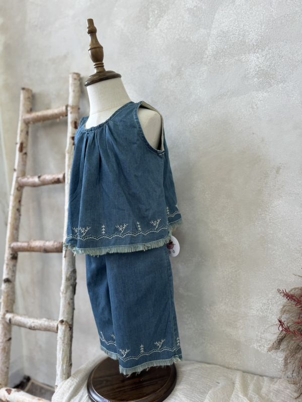 軟料薄牛仔刺繡抽鬚套裝 