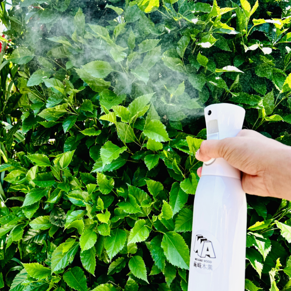 居家芳香｜純天然香樟 茶樹純露噴霧瓶500ml 