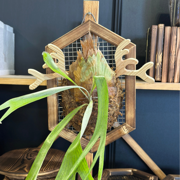 上板資材｜鹿角園藝裝飾 