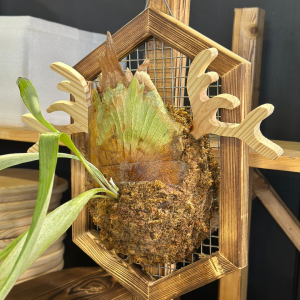 上板資材｜鹿角園藝裝飾 