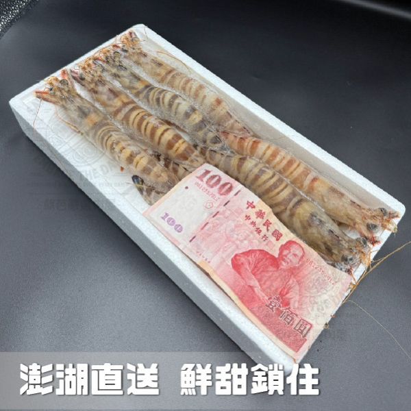 澎湖生凍野生大明蝦 