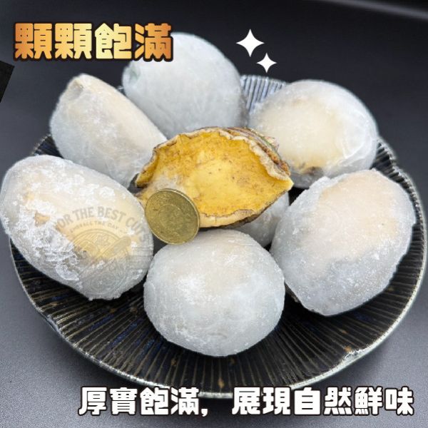 頂級鮮甜活鮑魚(特大顆) 