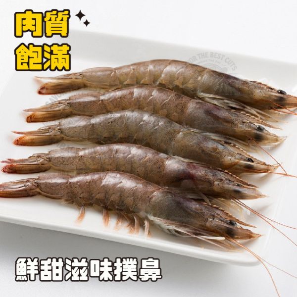 金磚白蝦(特大) 