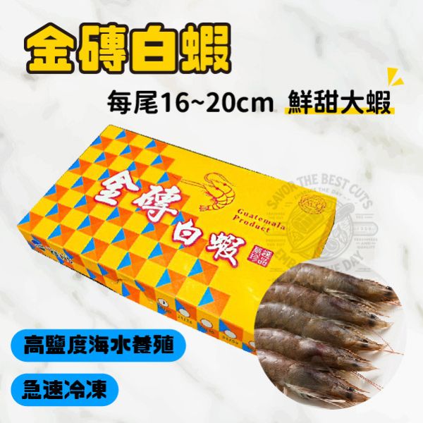 金磚白蝦(特大) 
