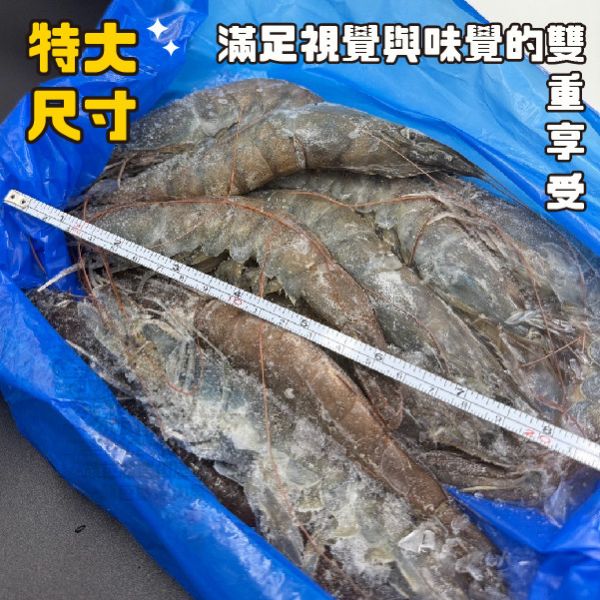 金磚白蝦(特大) 