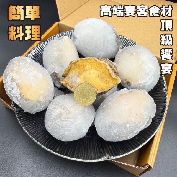 頂級鮮甜活鮑魚(特大顆) 