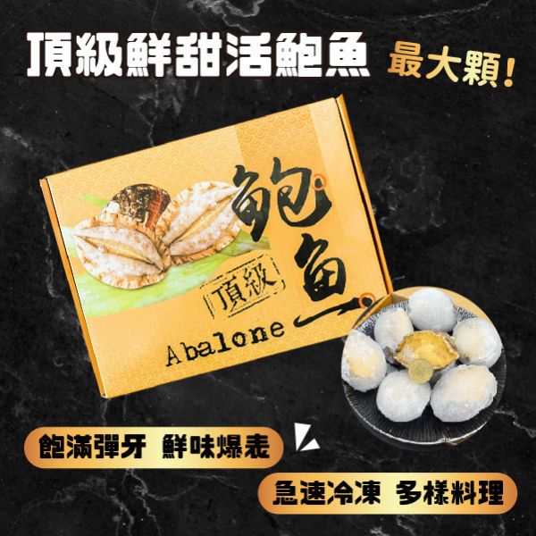 頂級鮮甜活鮑魚(特大顆) 