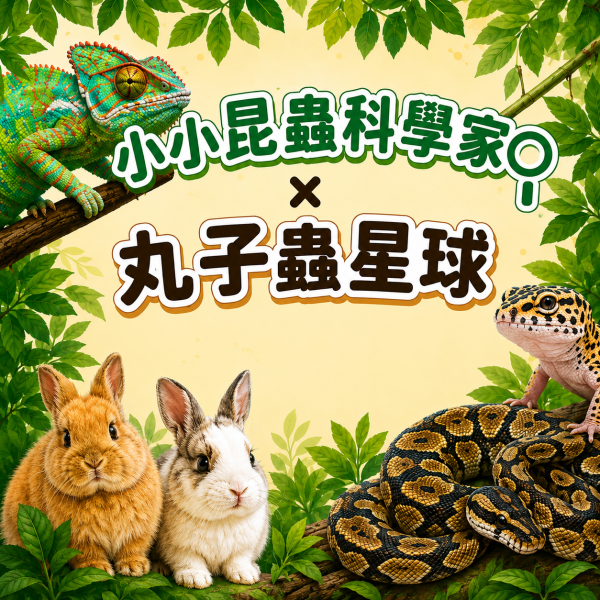 丸子蟲星球・生態體驗課 丸子蟲星球,生態體驗課,遊戲愛樂園,暑假,室內,遊樂園