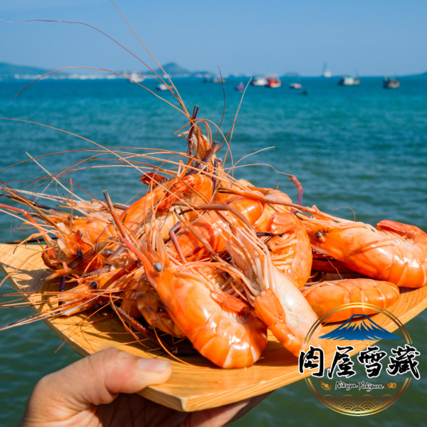 【肉屋雪藏】活凍大白蝦 白蝦 20/30P、肉屋雪藏、金磚白蝦、瓜地馬拉白蝦、白蝦推薦、冷凍白蝦 850g