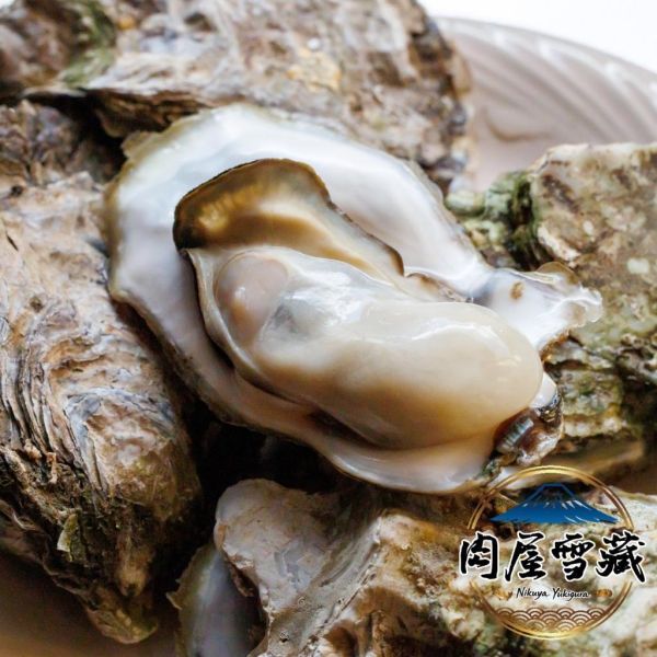 【肉屋雪藏】日本生食級生蠔2L 日本生蠔、肉屋雪藏、兵庫生蠔、2L生蠔、生食級生蠔、冷凍生蠔推薦、下酒菜海鮮、大生蠔宅配