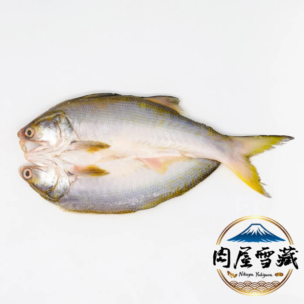 【肉屋雪藏】午仔魚一夜干(XL)) 肉屋雪藏, 午仔魚一夜干推薦, 午仔魚料理, 氣炸鍋魚料理, 冷凍魚宅配, 台灣好魚, 一夜干哪裡買, 最大規格午仔魚, 真空包裝海鮮
