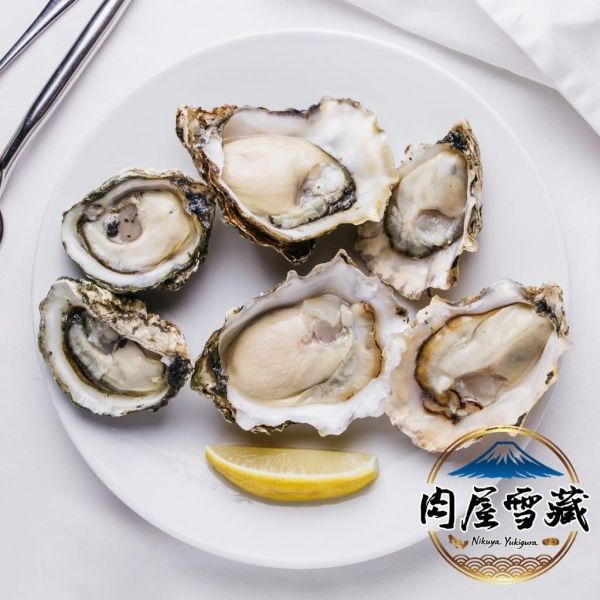 【肉屋雪藏】日本生食級生蠔2L 日本生蠔、肉屋雪藏、兵庫生蠔、2L生蠔、生食級生蠔、冷凍生蠔推薦、下酒菜海鮮、大生蠔宅配