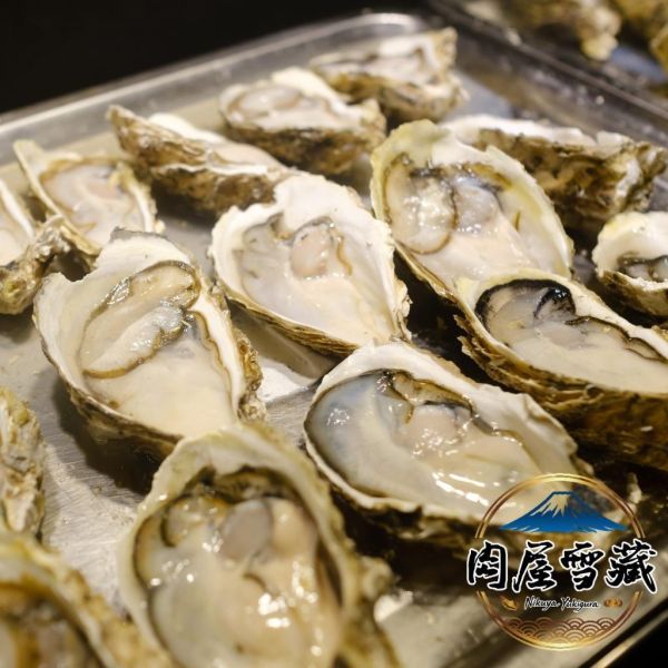 【肉屋雪藏】日本非生食級生蠔2L 日本宮城生蠔, 2L生蠔推薦, 冷凍生蠔10顆, 熟食生蠔, 日本特大生蠔, 宮城牡蠣, 遠洋養殖生蠔, 海鮮宅配推薦, 高品質生蠔, 生蠔料理方式