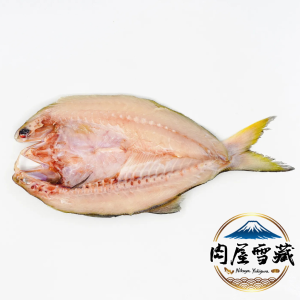 【肉屋雪藏】午仔魚一夜干(XL)) 肉屋雪藏, 午仔魚一夜干推薦, 午仔魚料理, 氣炸鍋魚料理, 冷凍魚宅配, 台灣好魚, 一夜干哪裡買, 最大規格午仔魚, 真空包裝海鮮