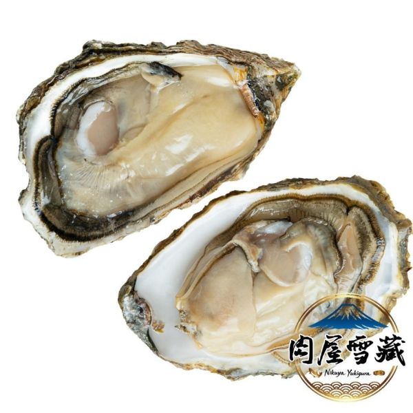 【肉屋雪藏】日本生食級生蠔2L 日本生蠔、肉屋雪藏、兵庫生蠔、2L生蠔、生食級生蠔、冷凍生蠔推薦、下酒菜海鮮、大生蠔宅配