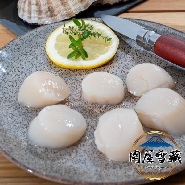 【肉屋雪藏】北海道生食級干貝S級 北海道干貝、生食級干貝、肉屋雪藏、干貝 S 級、日本干貝產地直送、干貝規格科普、高級生鮮電商、干貝 1kg、北海道生干貝推薦