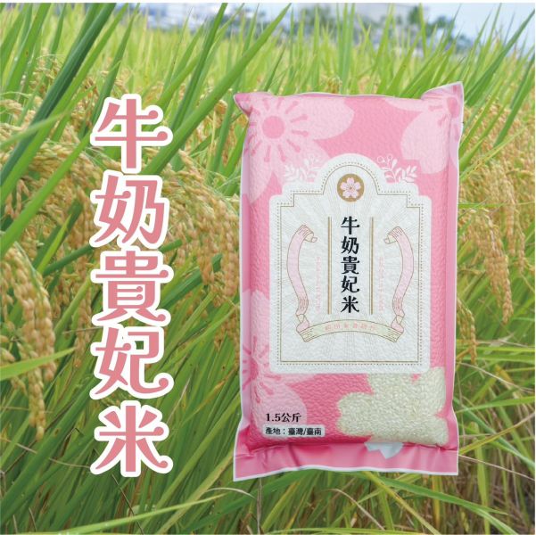 牛奶貴妃米 