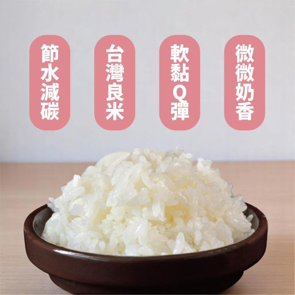 牛奶貴妃米 