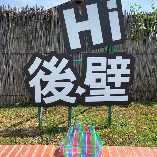 經典手提茄芷袋 (大) 