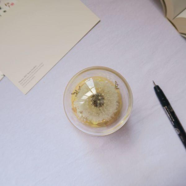 永生蒲公英玻璃罩 - 乘載心願 台中花店,花店,花藝,花,乾燥花,鮮花,永生花,花束,玻璃罩,蒲公英,求婚,風水,房間放花