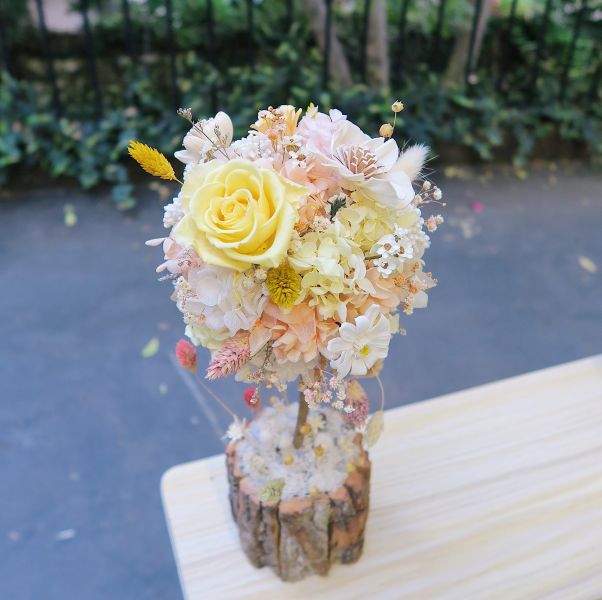 發財小花樹 /盆花 適合開幕升遷 台中花店,花藝,乾燥花,鮮花,永生花,求婚花束,情人節花束,母親節花束,開幕花禮,高架花籃