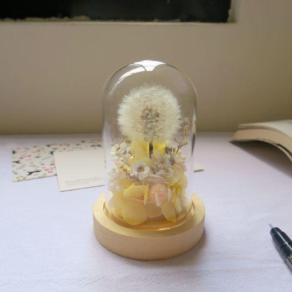 永生蒲公英玻璃罩 - 乘載心願 台中花店,花店,花藝,花,乾燥花,鮮花,永生花,花束,玻璃罩,蒲公英,求婚,風水,房間放花
