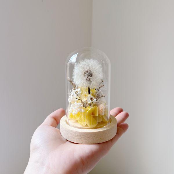 永生蒲公英玻璃罩 - 乘載心願 台中花店,花店,花藝,花,乾燥花,鮮花,永生花,花束,玻璃罩,蒲公英,求婚,風水,房間放花